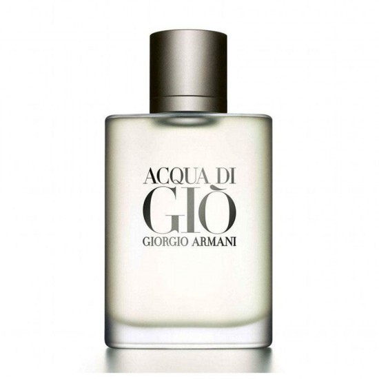 Acqua Di Gio Erkek Parfüm Edt 100 ML