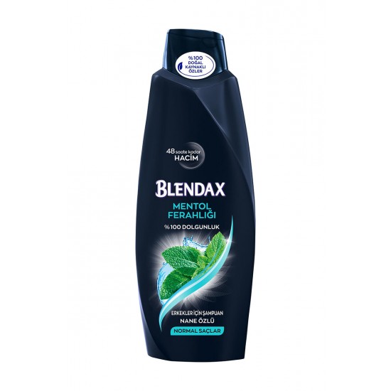 Blendax Erkekler İçin Mentollü Şampuan 550 ML